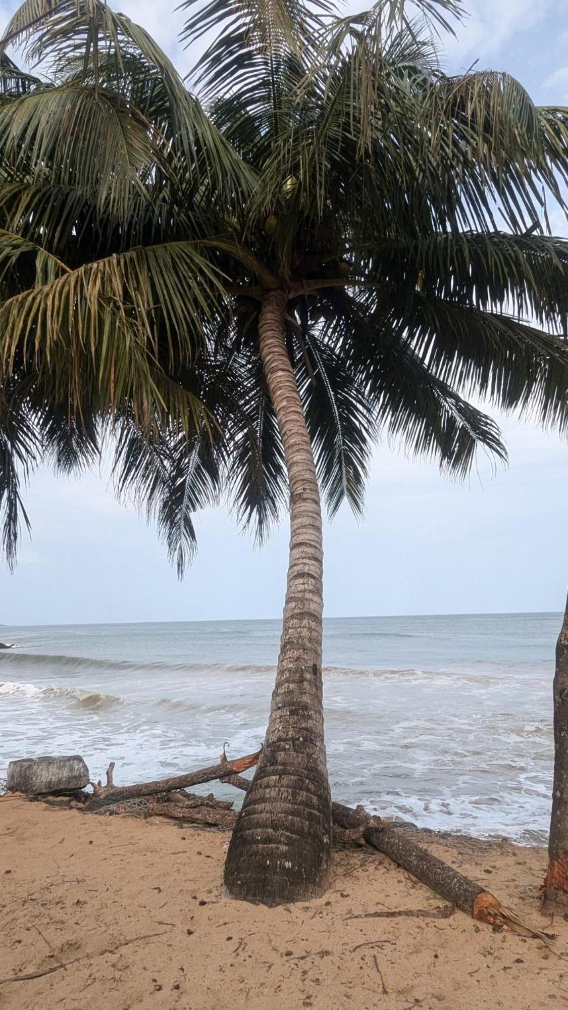 Chandi Gaya Beach Guesthouse Tangalle Kültér fotó